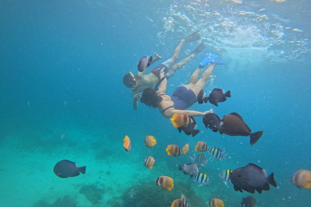 Blue lagoon and Tanjung Jepun Snorkeling
