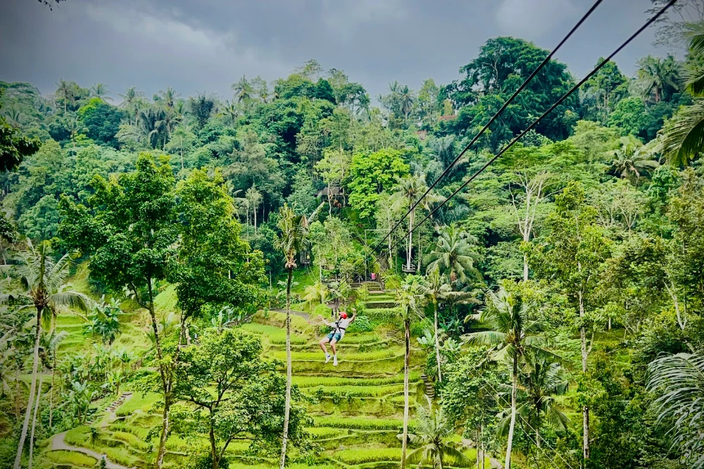Ubud Zip-Line Adventure