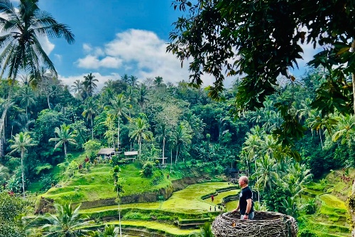 Ubud Rice Terrace