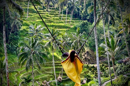 Ubud Jungle Swing