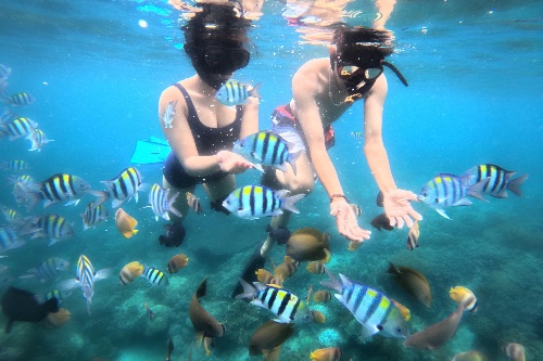 Blue lagoon and Tanjung Jepun snorkeling